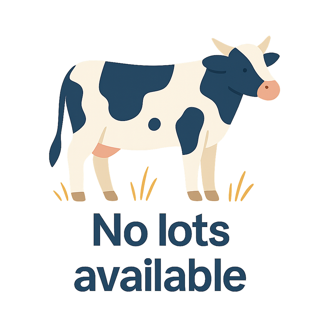 No lots available image